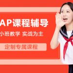 AP课程辅导